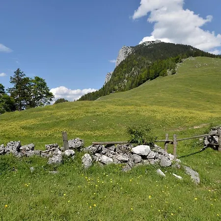 Ritzau Alm Ebbs